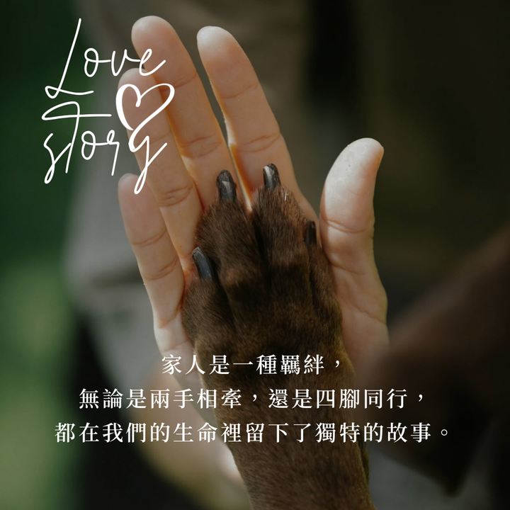 good 的複本 - 14
