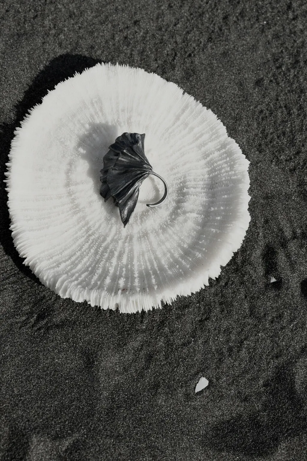 LINE_ALBUM_浮游_220612_9.jpg