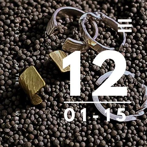 13_20251103_193727_0012