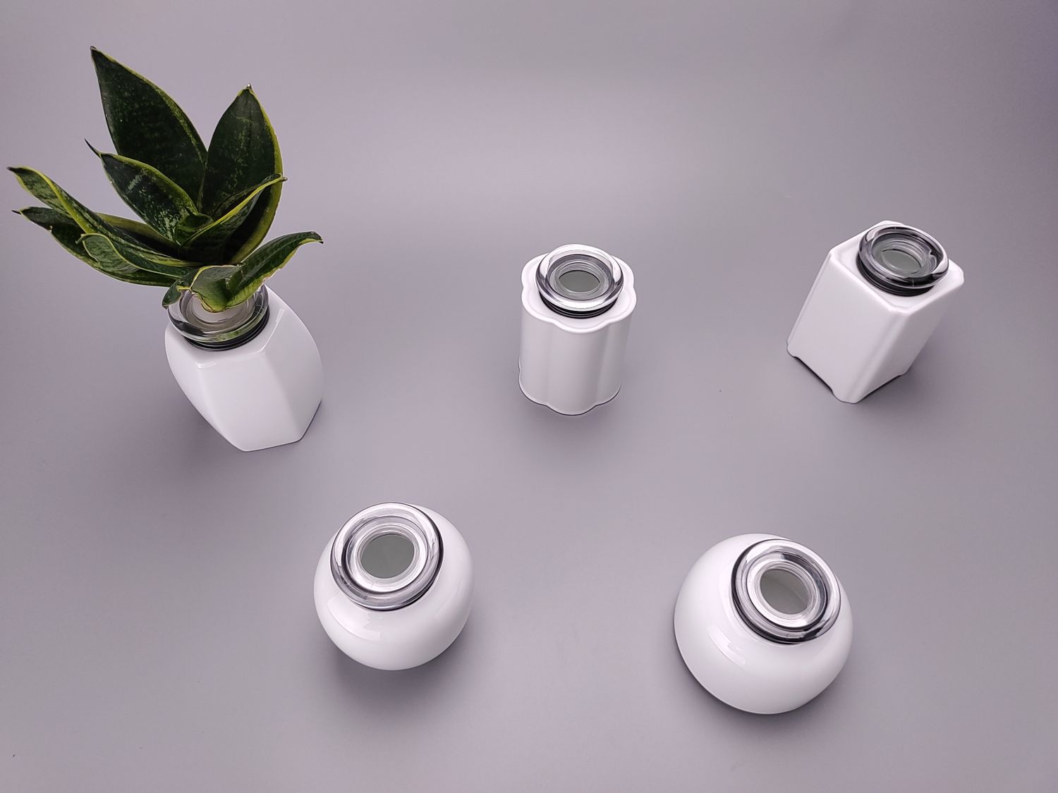 生技植栽 BioBonsai 台灣栽研 | 陶瓷系列