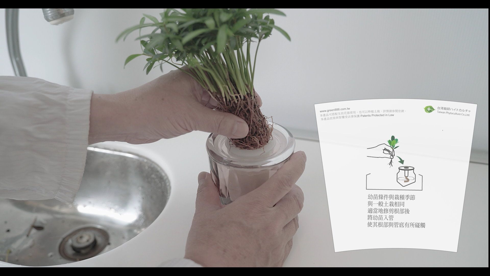 生技植栽 BioBonsai 台灣栽研 | 自行栽植