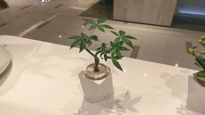IMAG4912.jpg
