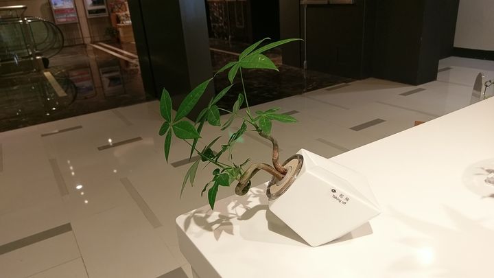 IMAG4521.jpg