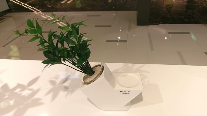 IMAG4704.jpg