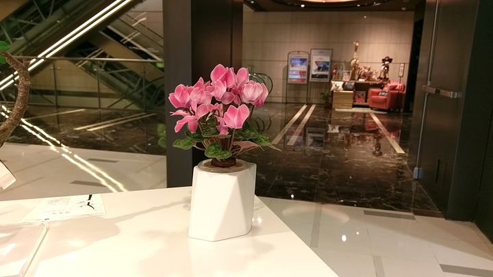 IMAG5864_第18天.jpg