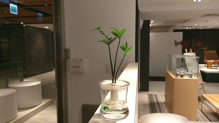 IMAG6577.jpg