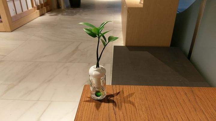 IMAG6682.jpg