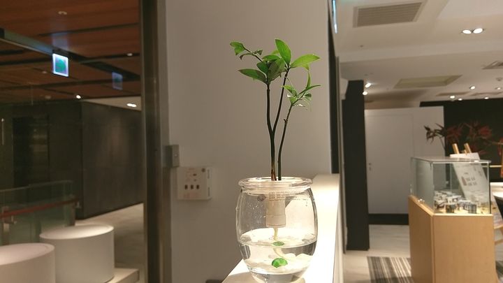 IMAG7327.jpg