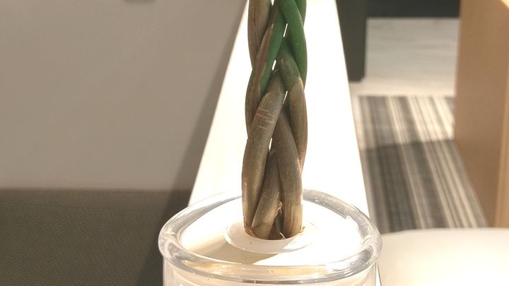 IMAG7181.jpg