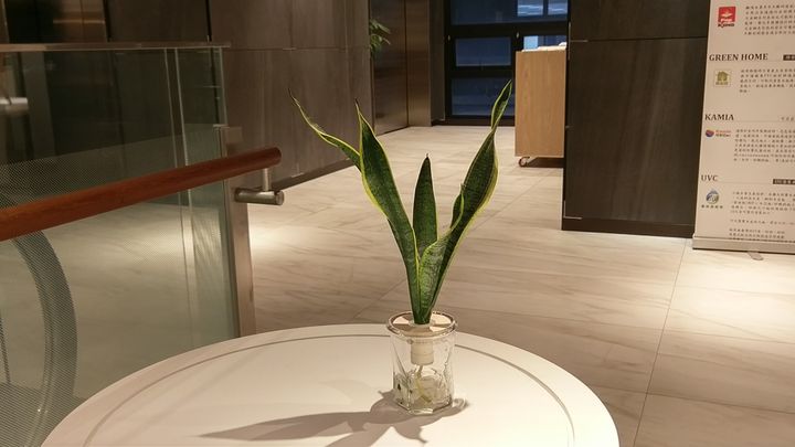 IMAG8112.jpg