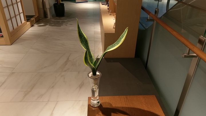 IMAG8635.jpg