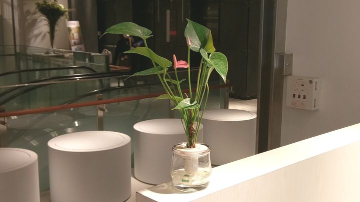 IMAG8279.jpg