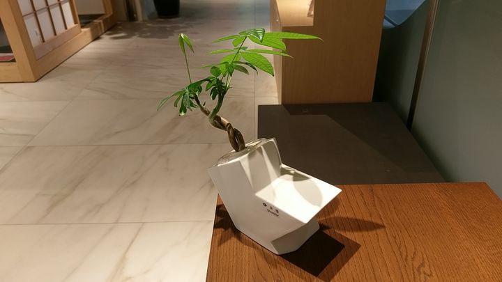 IMAG9202.jpg
