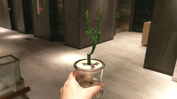 IMAG7437.jpg