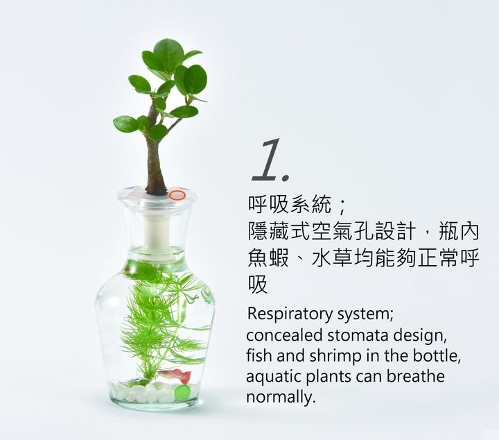 生態缸_花瓶_功能說明_圖 1.doc.jpg