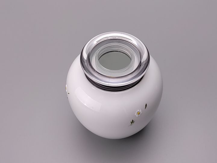 吉祥 Propitious_小雛菊_第一印象.jpg