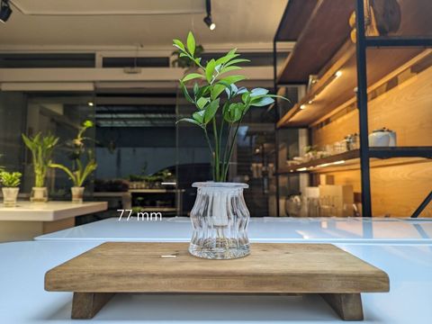 line_oa_chat_241227_215556_竹柏_尺寸