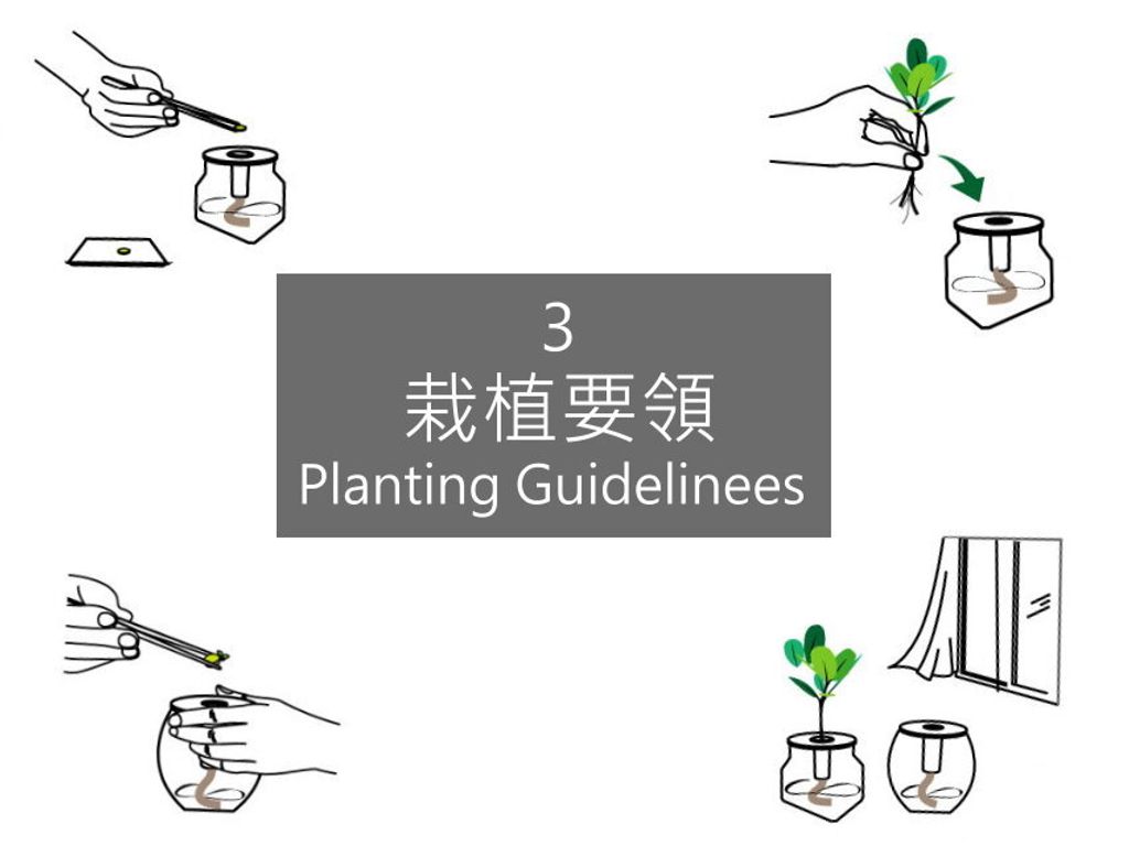 3.栽植要領
