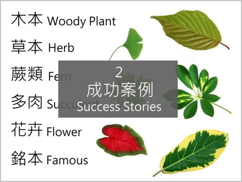 2.成功案例_邊框