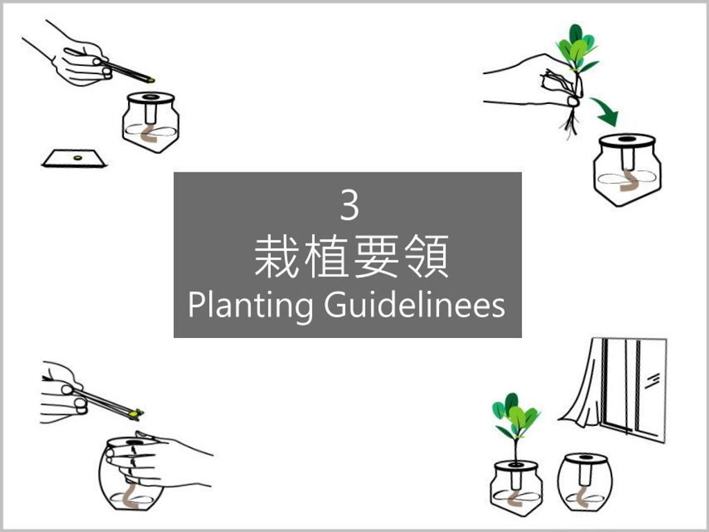 3.栽植要領_邊框