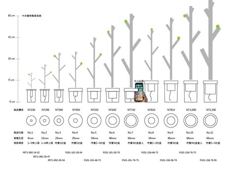 3.規格&價格 Spec & Price_無下方框