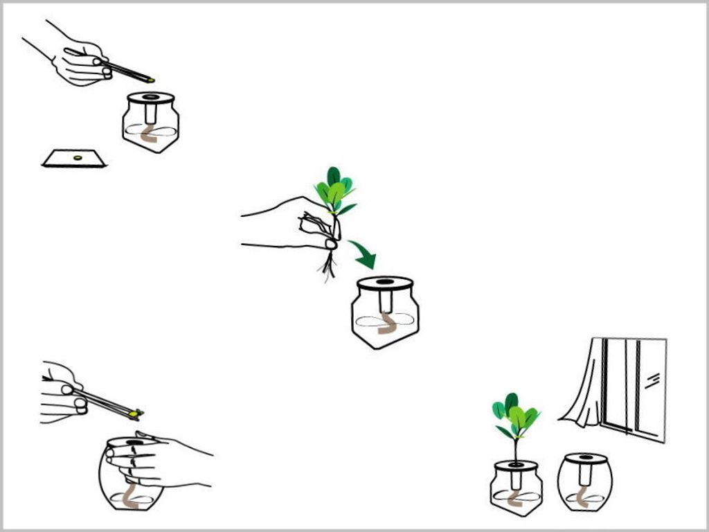 3.栽植要領 2_邊框