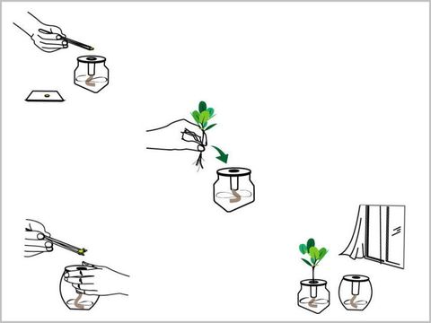 3.栽植要領 2_邊框