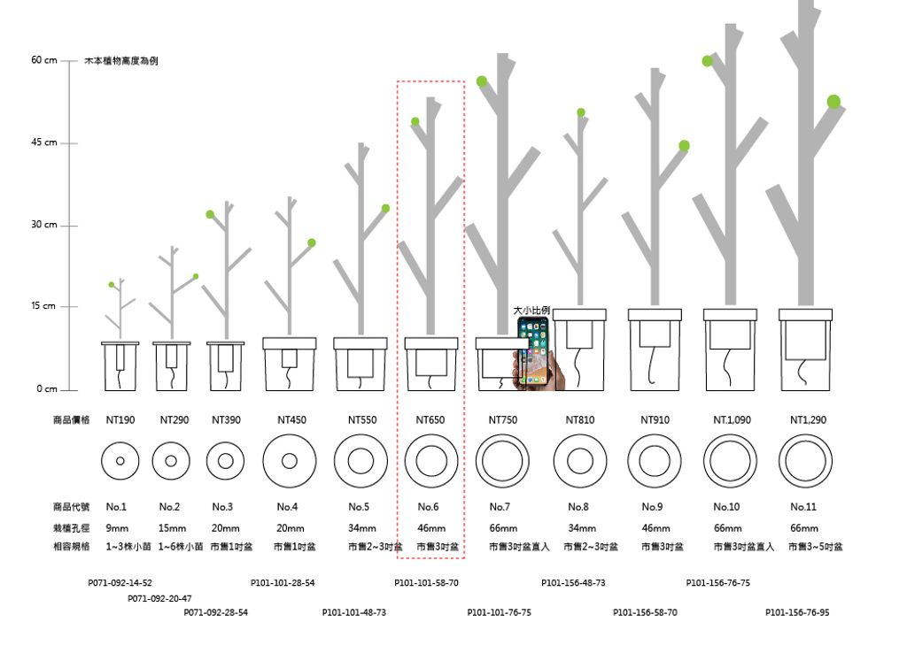 3.規格&價格 Spec & Price_無下方框_No.6