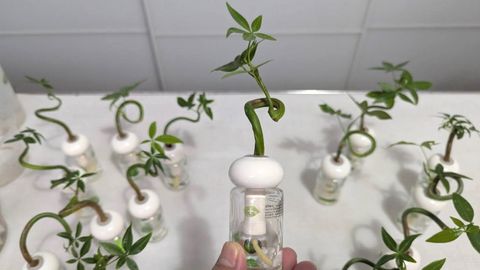 line_oa_chat_251224_151715_s