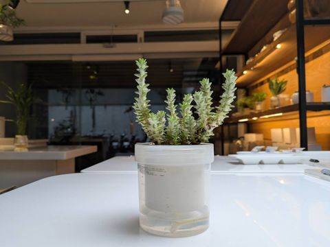 line_oa_chat_260101_160404