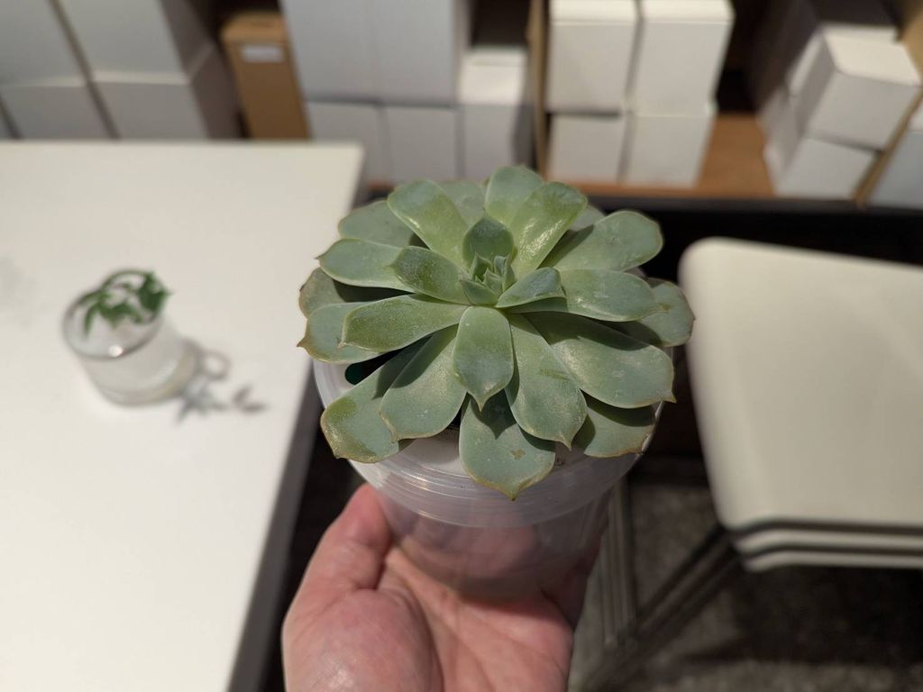 line_oa_chat_260101_164135