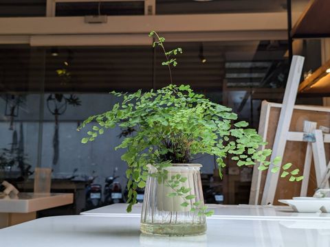 line_oa_chat_260101_170008