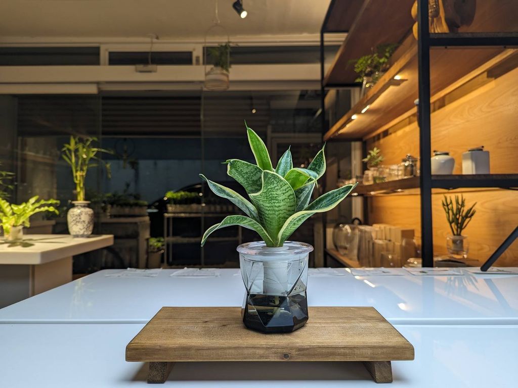 line_oa_chat_241020_215221