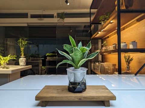 line_oa_chat_241020_215221