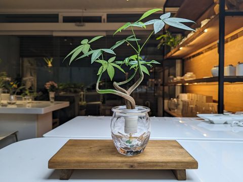 line_oa_chat_250419_223936