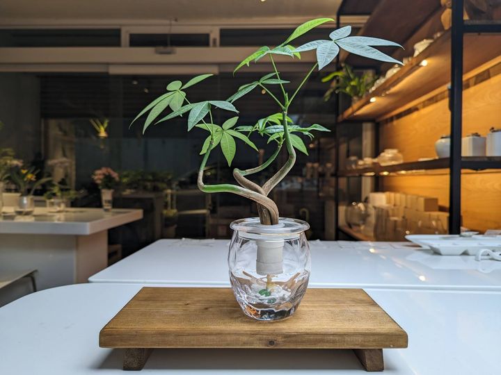 line_oa_chat_250419_223936