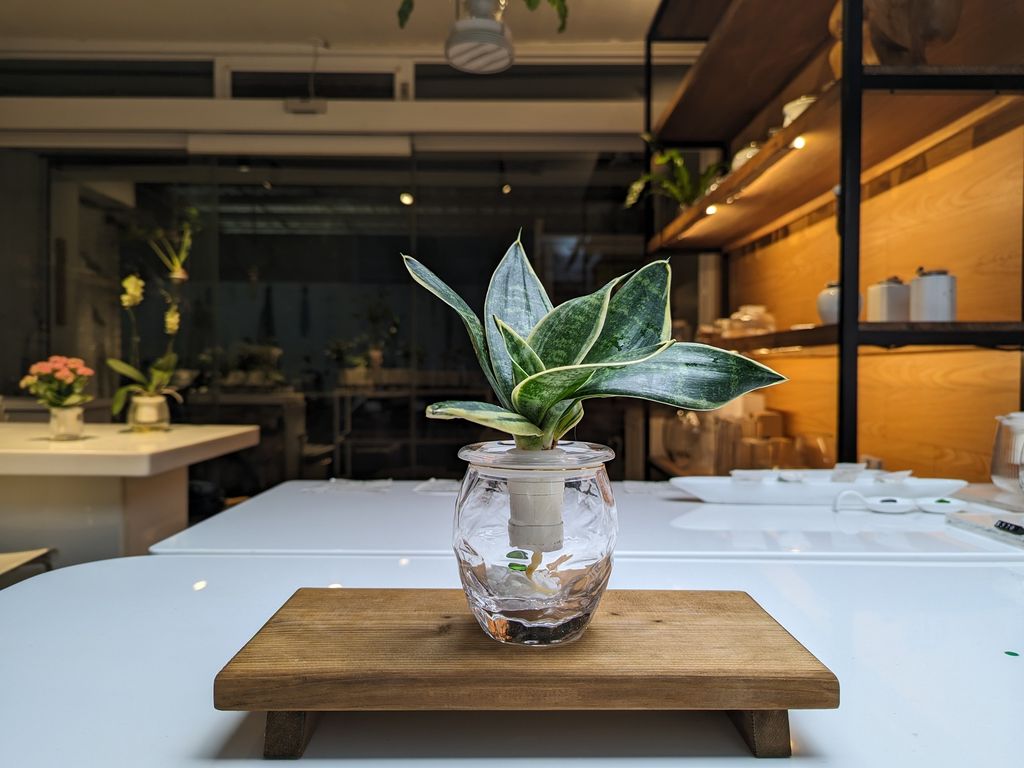 PXL_20250401_105403413