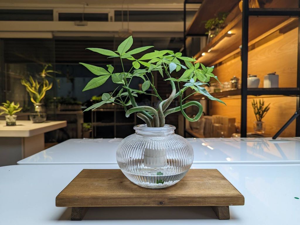 line_oa_chat_241020_232629