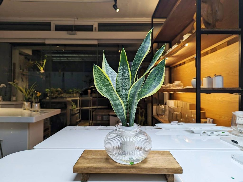 line_oa_chat_250428_224257