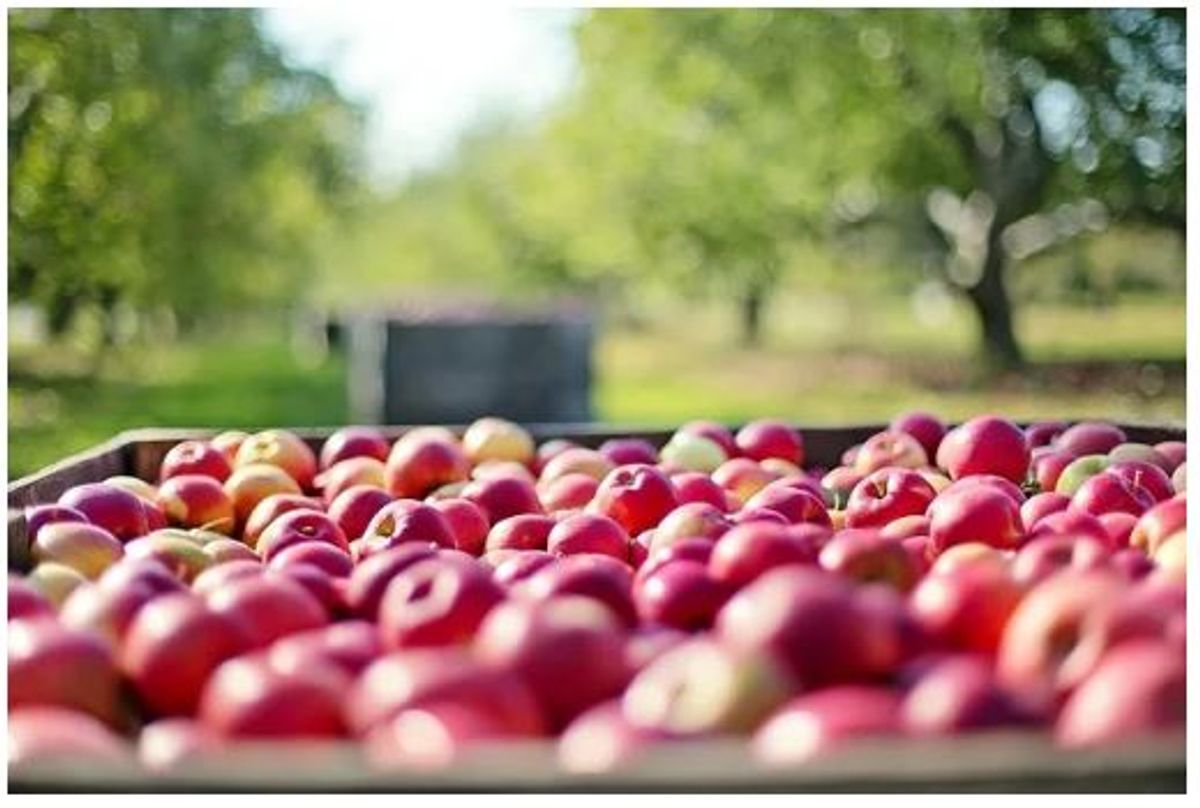 生理期時，如何吃對食物