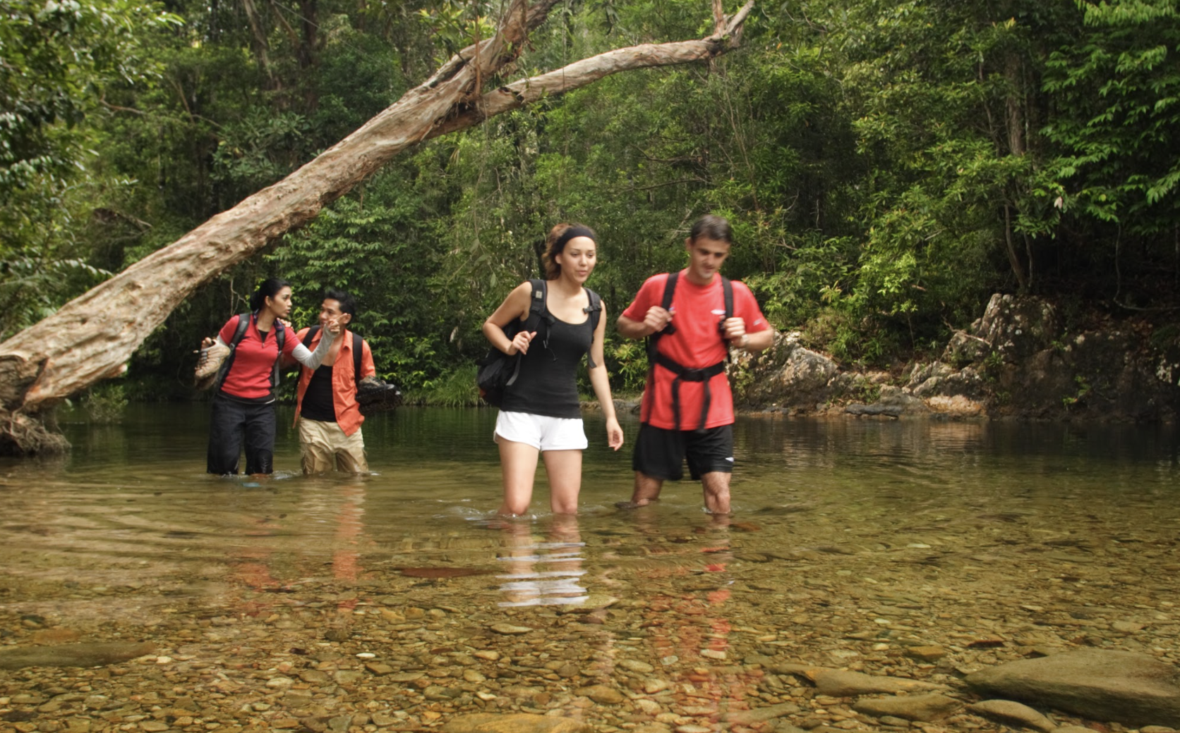 Screen Shot 2020-10-22 at 1.07.00 PM.png