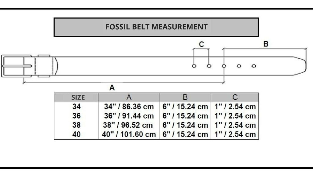 Fossil Men's Belt Measurements