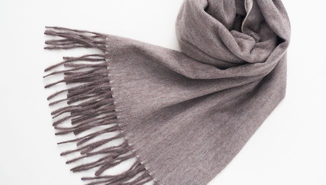 PESCE | 100% CASHMERE 喀什米爾 |  - Accessories