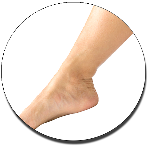 kaki licin.png kaki licin.png