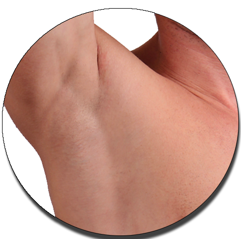tiok licin.png tiok licin.png