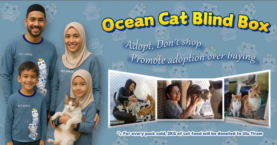 Pet Space | Adopt Dont shop