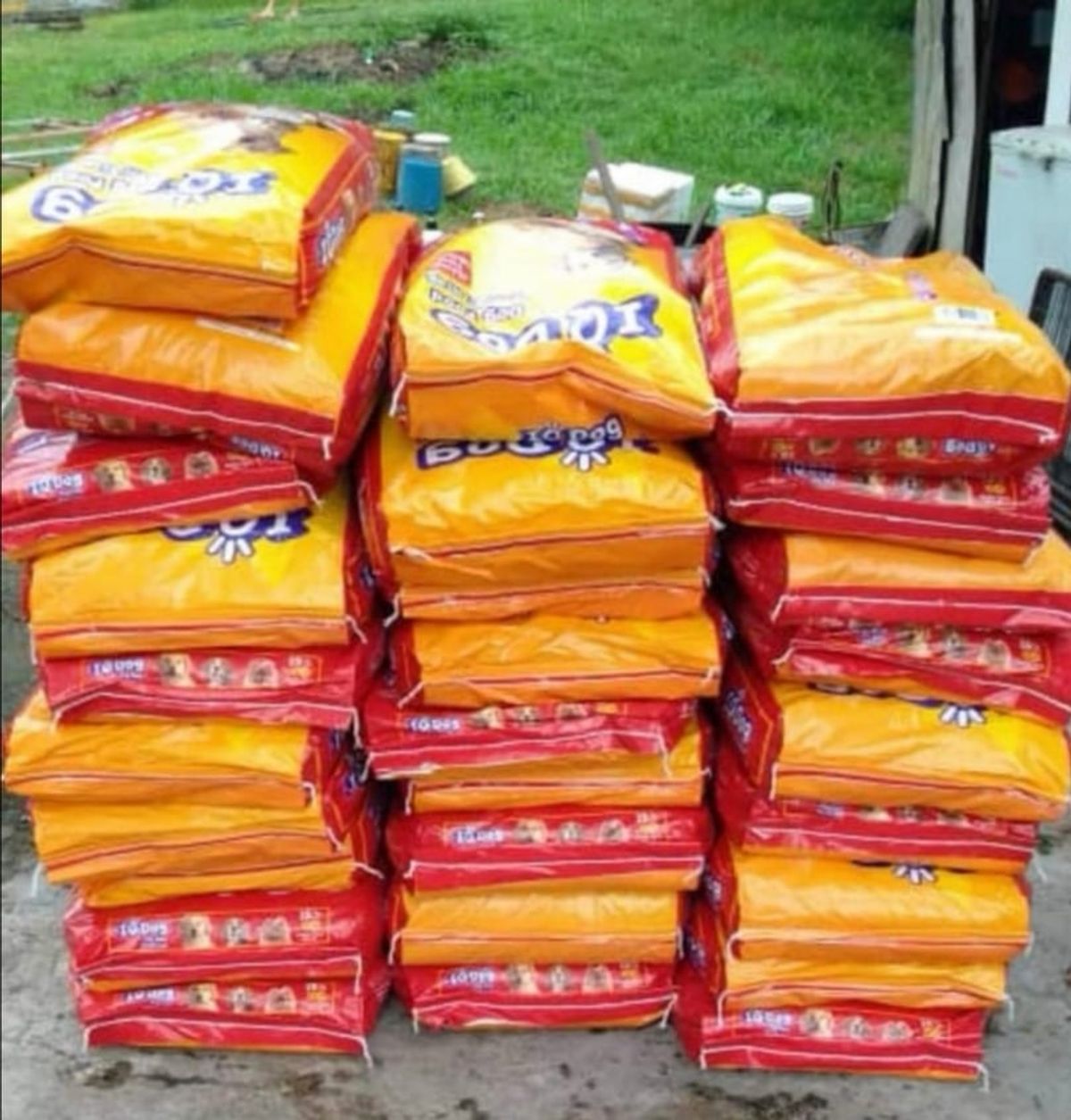 因为大家的参与，我们也曾经于6月捐赠 了 400kg 狗粮给与Strive for Animals Welfare - SAW