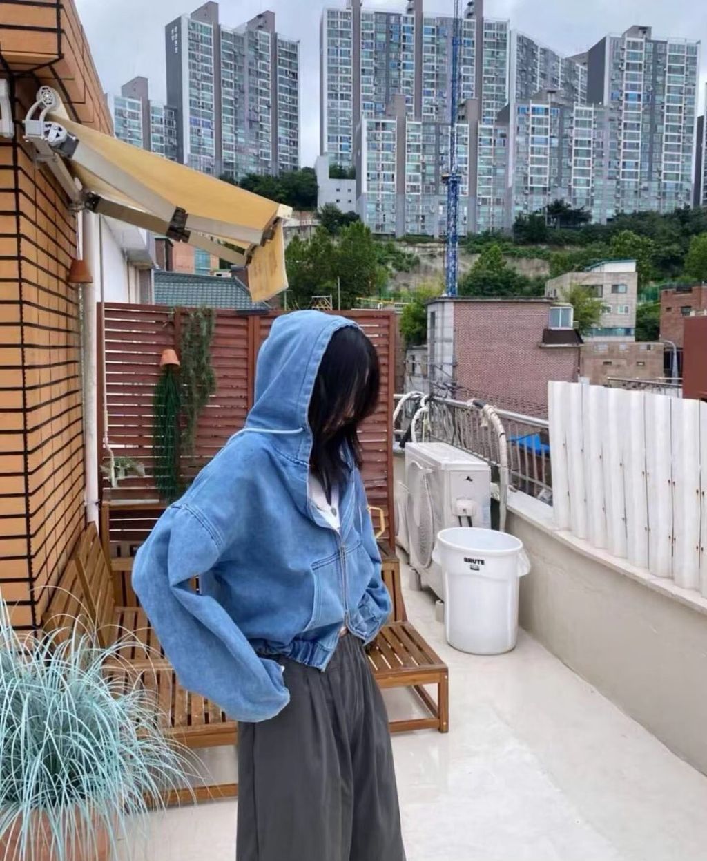 LINE_ALBUM_2680$韓國！_251111_7