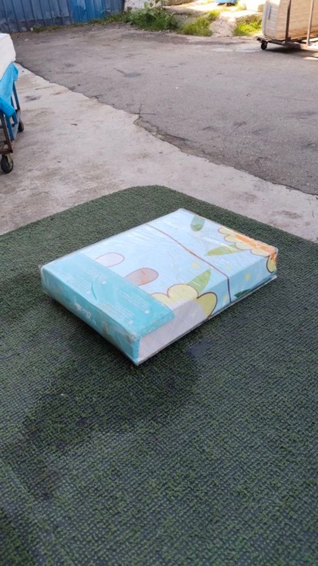 IMAGE 2026-03-08 16:25:30