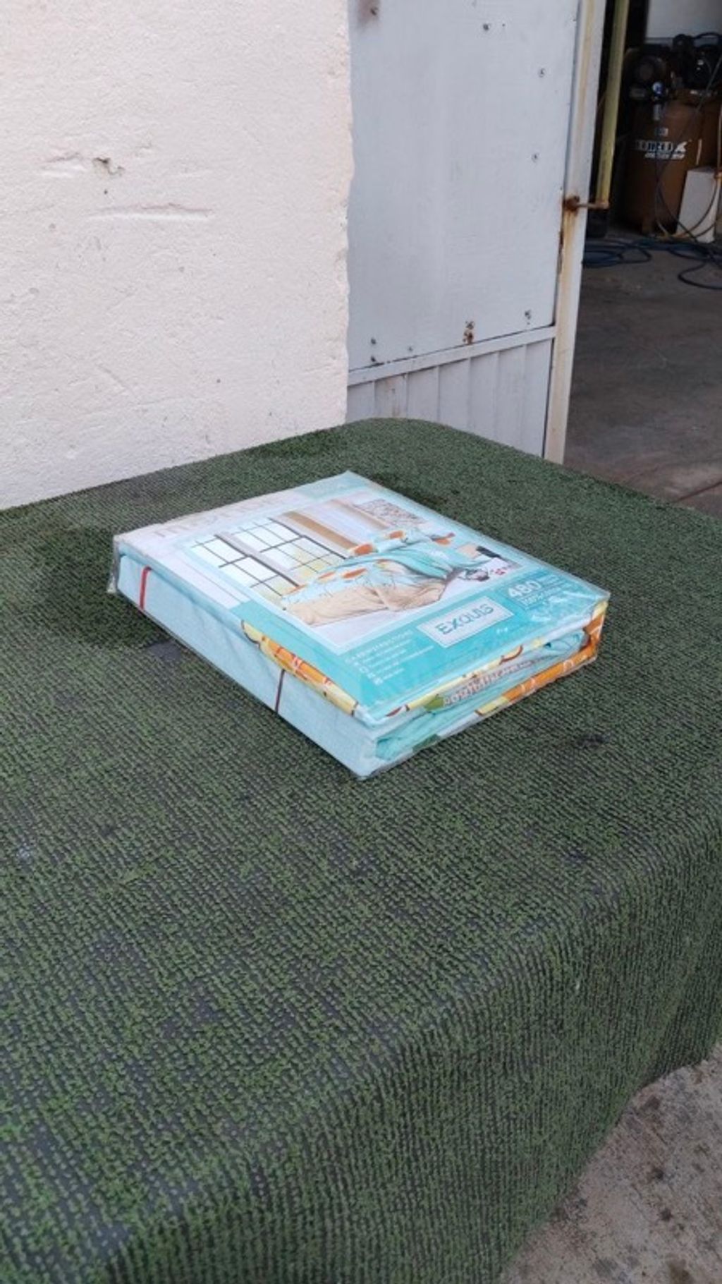 IMAGE 2026-03-08 16:25:24